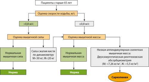 Изображение на обложке